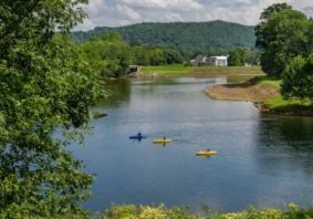 Paddle-Confluence